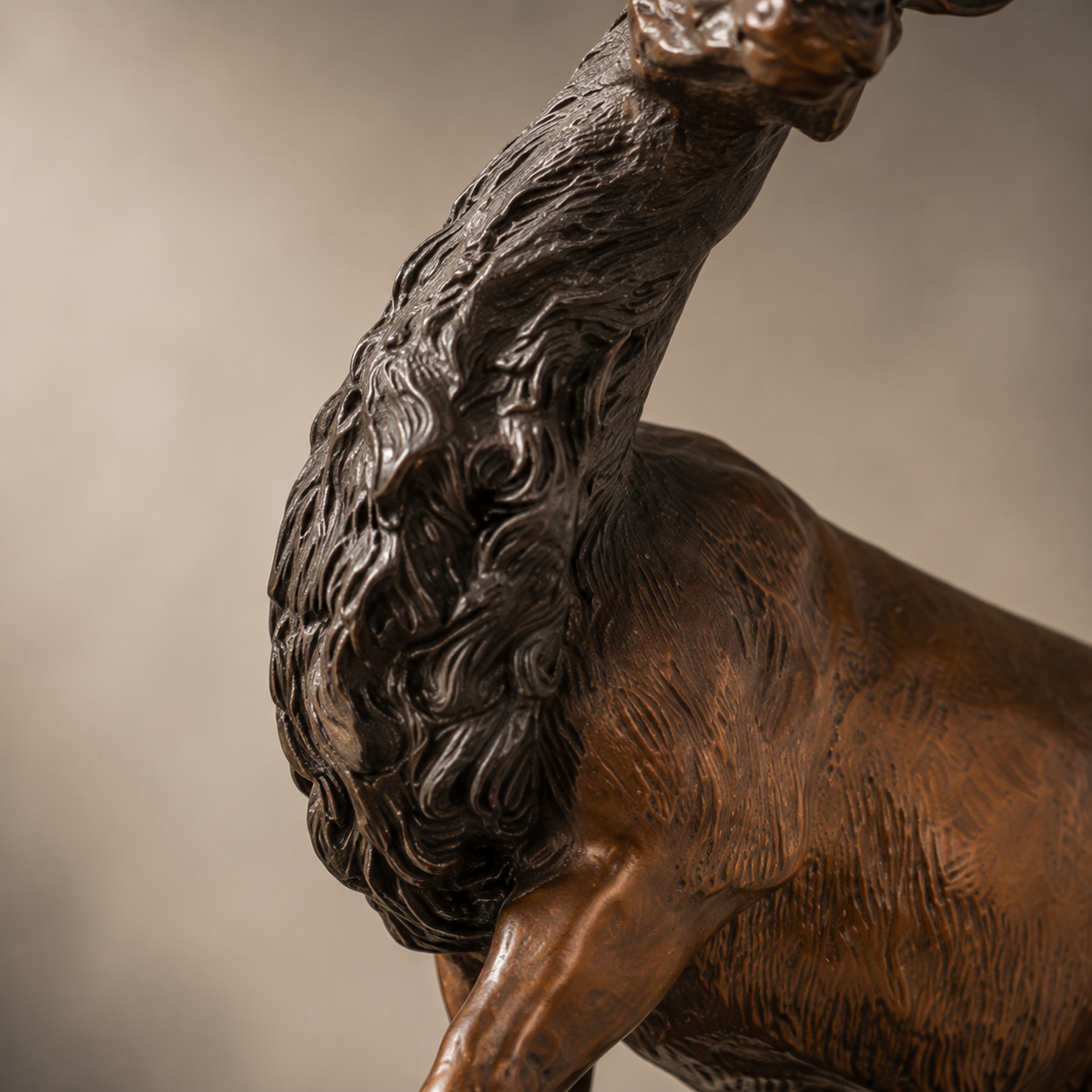 Buste de cerf en bronze patiné sur socle en marbre noir, vue 5