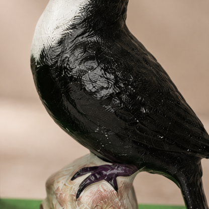 Paire de serre-livres toucans en fonte peinte polychrome, vue 5