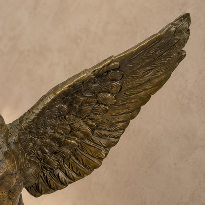 Sculpture bronze hibou perché sur crâne humain, socle marbre, vue 4