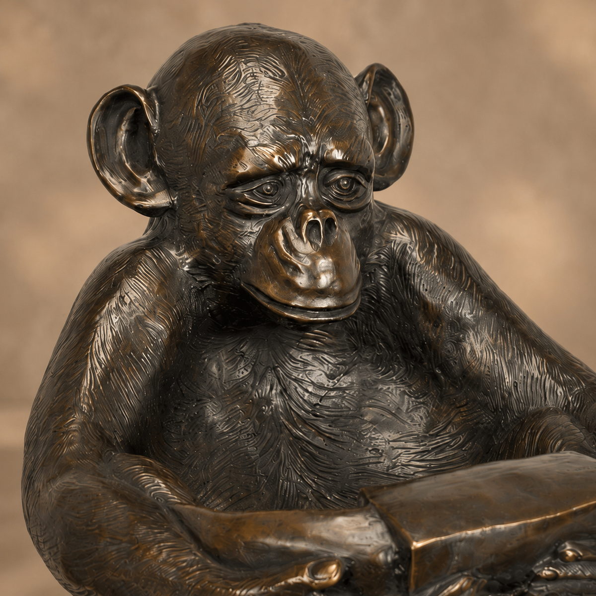 Sculpture chimpanzé assis tenant une coupe en bronze patiné, vue 3