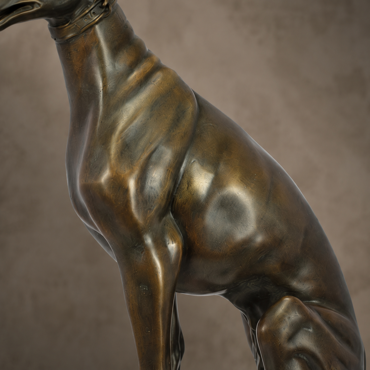 Sculpture en bronze lévrier assis aux yeux de verre, vue 4