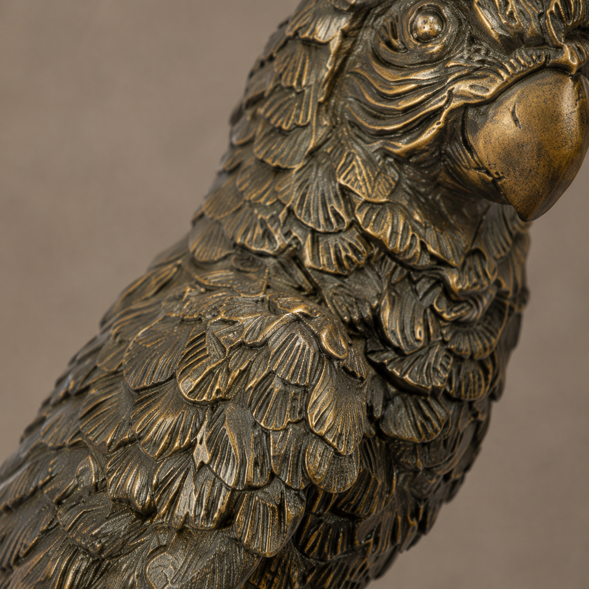 Sculpture en bronze patiné représentant un ara sur tronc, vue 4
