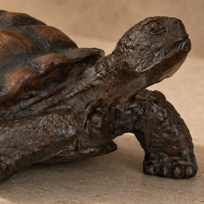 Sculpture en bronze patiné représentant une tortue terrestre, vue 4
