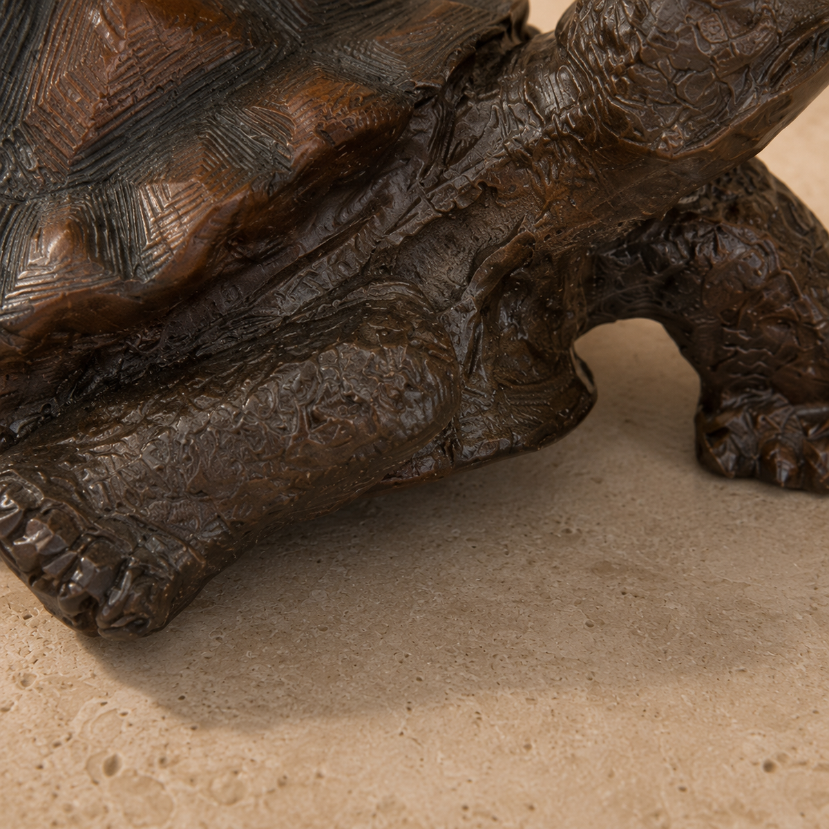 Sculpture en bronze patiné représentant une tortue terrestre, vue 7